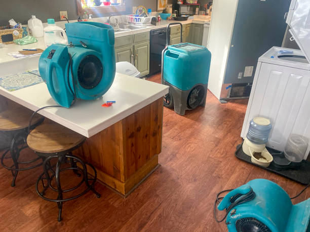 Best Water damage restoration near me  in Prague, OK