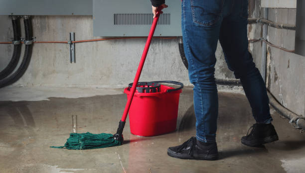 Best 24-hour water damage restoration  in Prague, OK