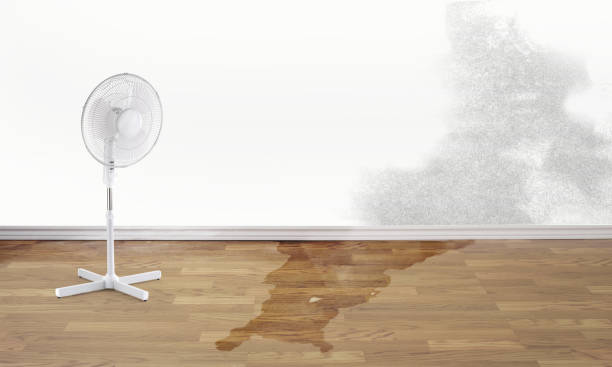 Best Ceiling water damage repair  in Prague, OK