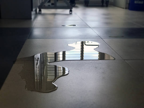 Best Water damage contractors near me  in Prague, OK
