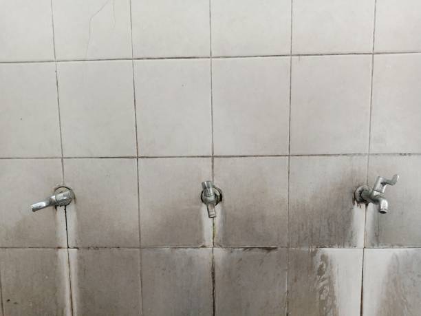Best Fire Damage Restoration  in Prague, OK