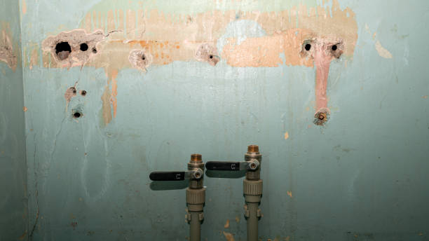 Best Flood restoration services  in Prague, OK