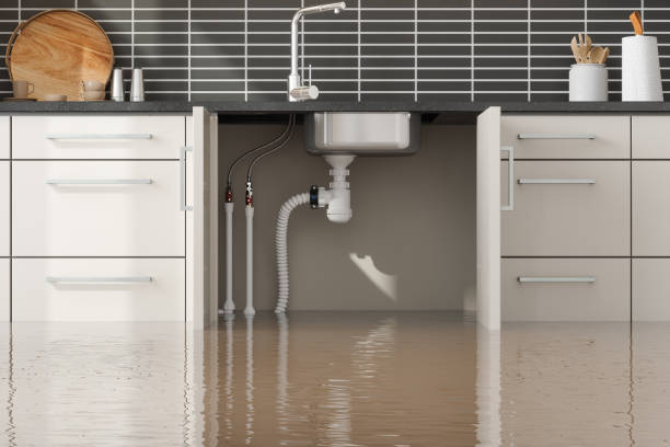 Best Professional water damage repair  in Prague, OK
